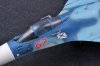 Trumpeter 01667 Russian Su-33 Flanker D